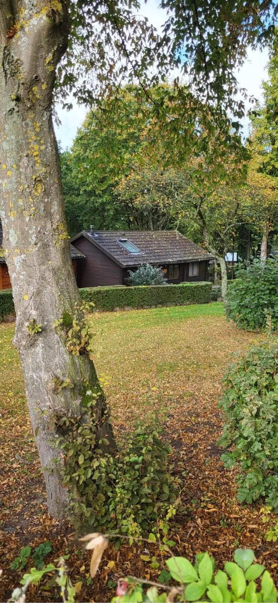 Chalet 9 La Boverie Rendeux Eksteriør billede